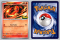 Charmander Taro