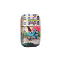 Pokémon Trading Card Game (TCG): Lumiose City Mini Tin: Salamance & Litleo